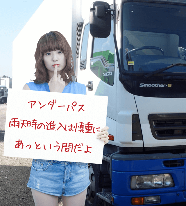 今日のブルル娘